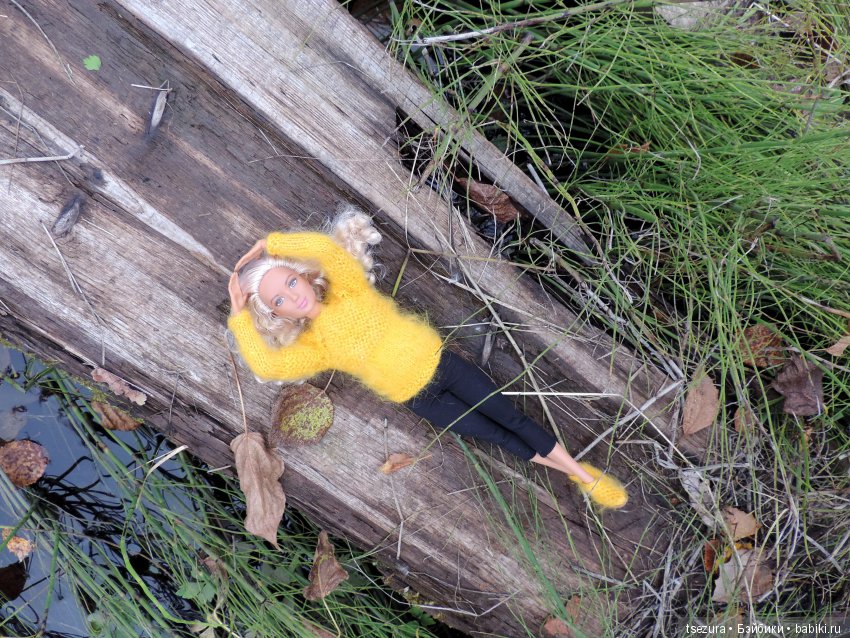 Никогда не говори никогда