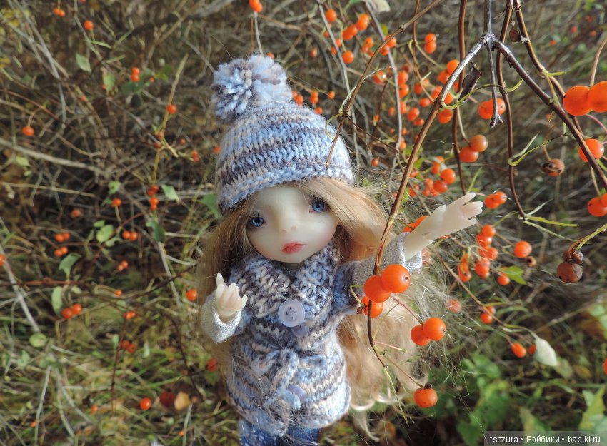 Уж небо осенью дышало — Куклы F&B Doll Studio: российские BJD (БЖД)