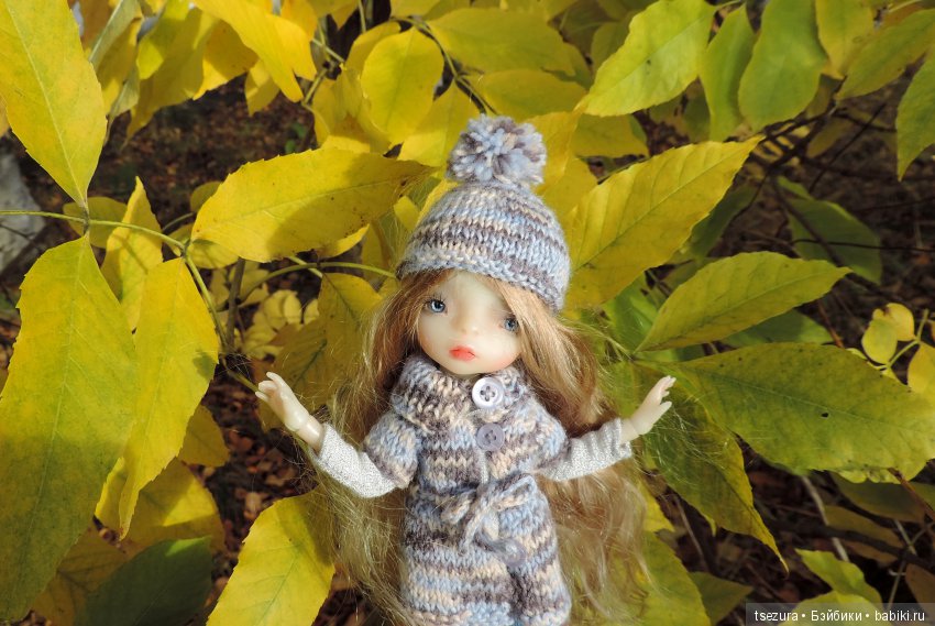 Уж небо осенью дышало — Куклы F&B Doll Studio: российские BJD (БЖД) (фото 10)