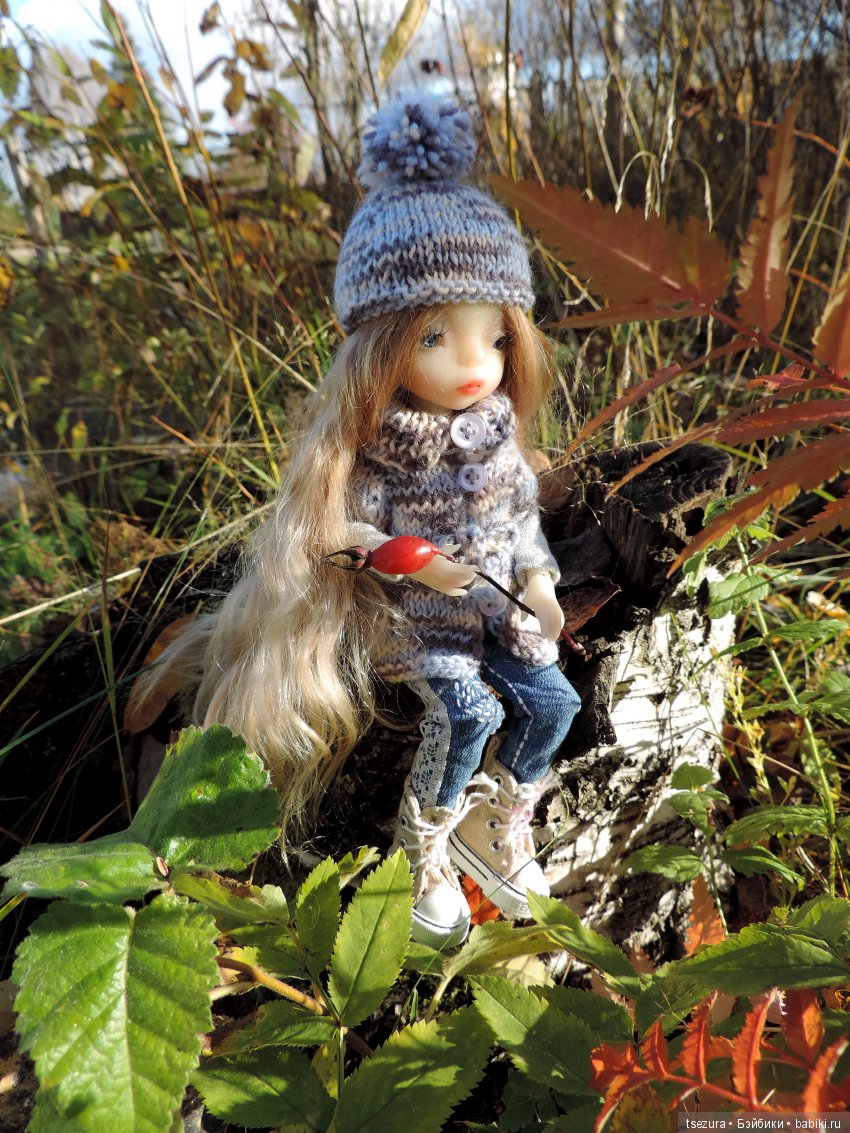 Уж небо осенью дышало — Куклы F&B Doll Studio: российские BJD (БЖД) (фото 6)