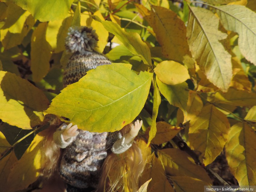 Уж небо осенью дышало — Куклы F&B Doll Studio: российские BJD (БЖД)