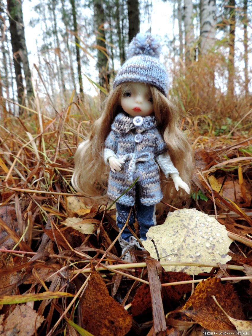 Уж небо осенью дышало — Куклы F&B Doll Studio: российские BJD (БЖД) (фото 3)