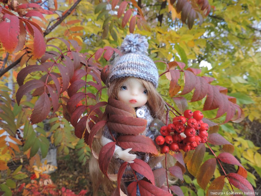 Уж небо осенью дышало — Куклы F&B Doll Studio: российские BJD (БЖД)