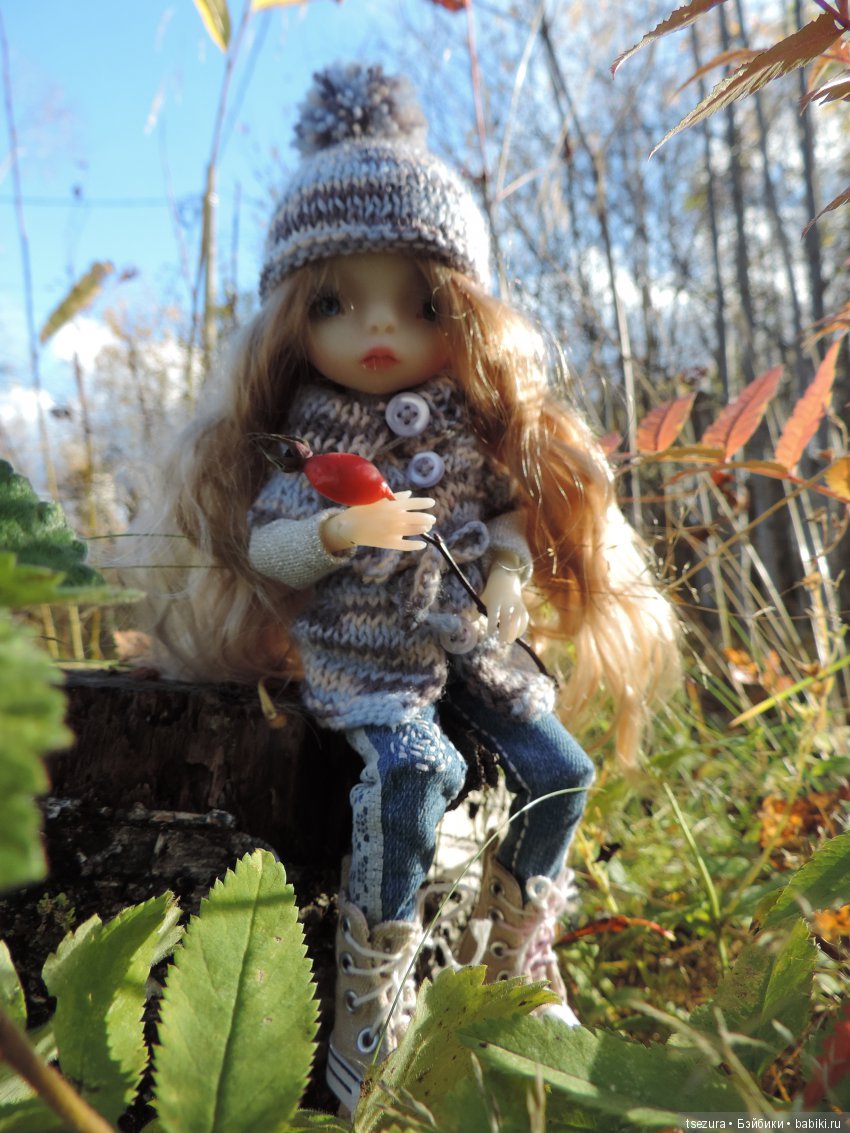 Уж небо осенью дышало — Куклы F&B Doll Studio: российские BJD (БЖД) (фото 5)