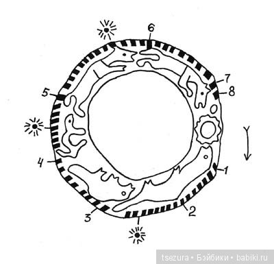 На злобу дня — Культура (фото 4)