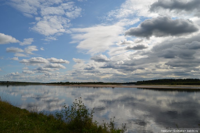 На злобу дня — Культура
