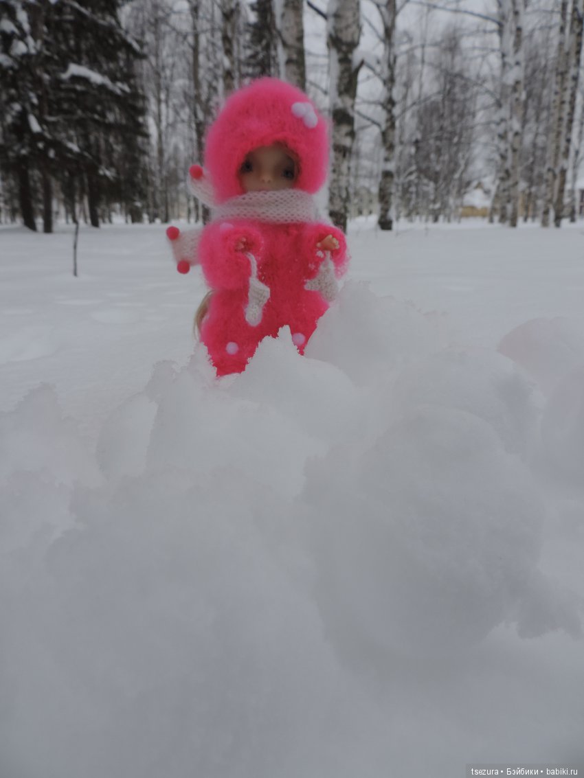 Яблоки на снегу — Куклы F&B Doll Studio: российские BJD (БЖД) (фото 7)