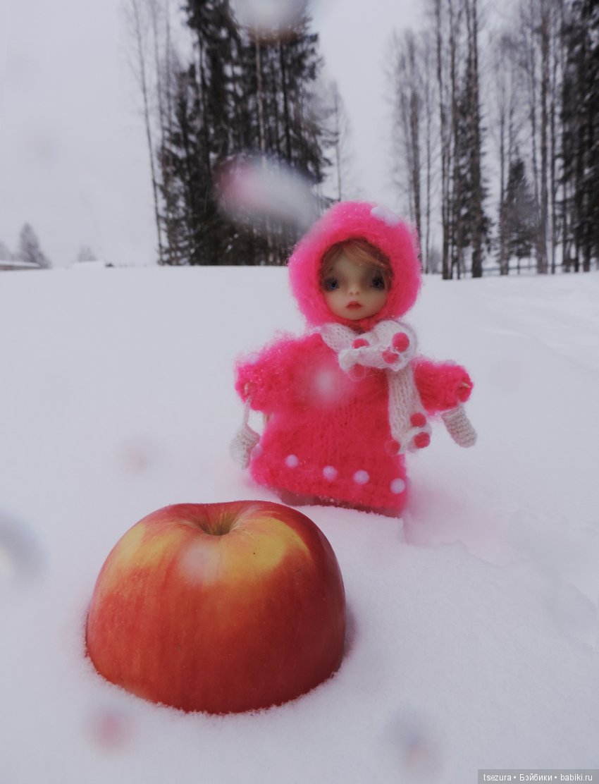 Яблоки на снегу — Куклы F&B Doll Studio: российские BJD (БЖД)