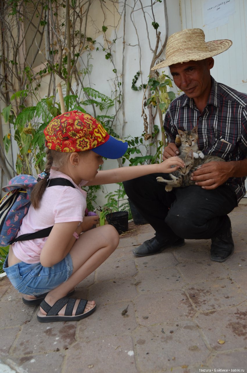 Не ходите, дети, в Африку гулять