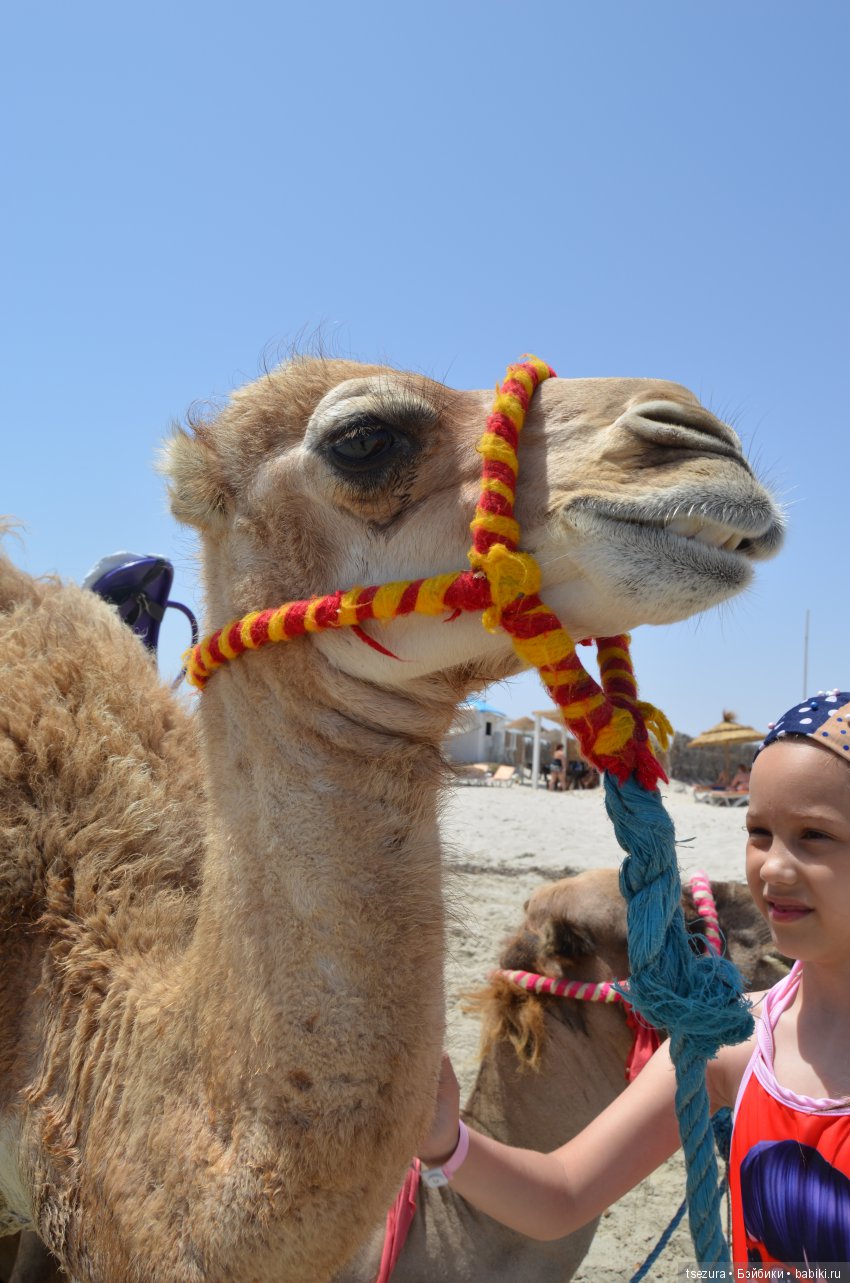 Не ходите, дети, в Африку гулять