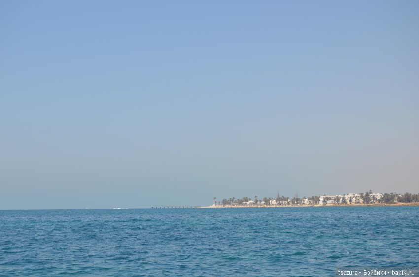 Не ходите, дети, в Африку гулять