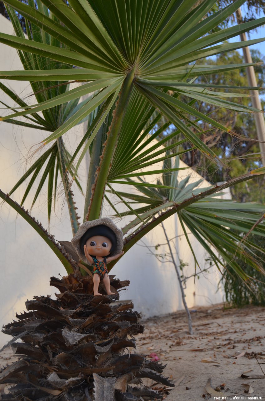 Не ходите, дети, в Африку гулять