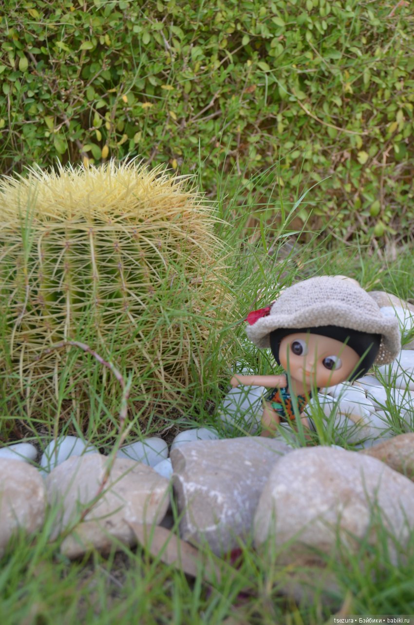 Не ходите, дети, в Африку гулять