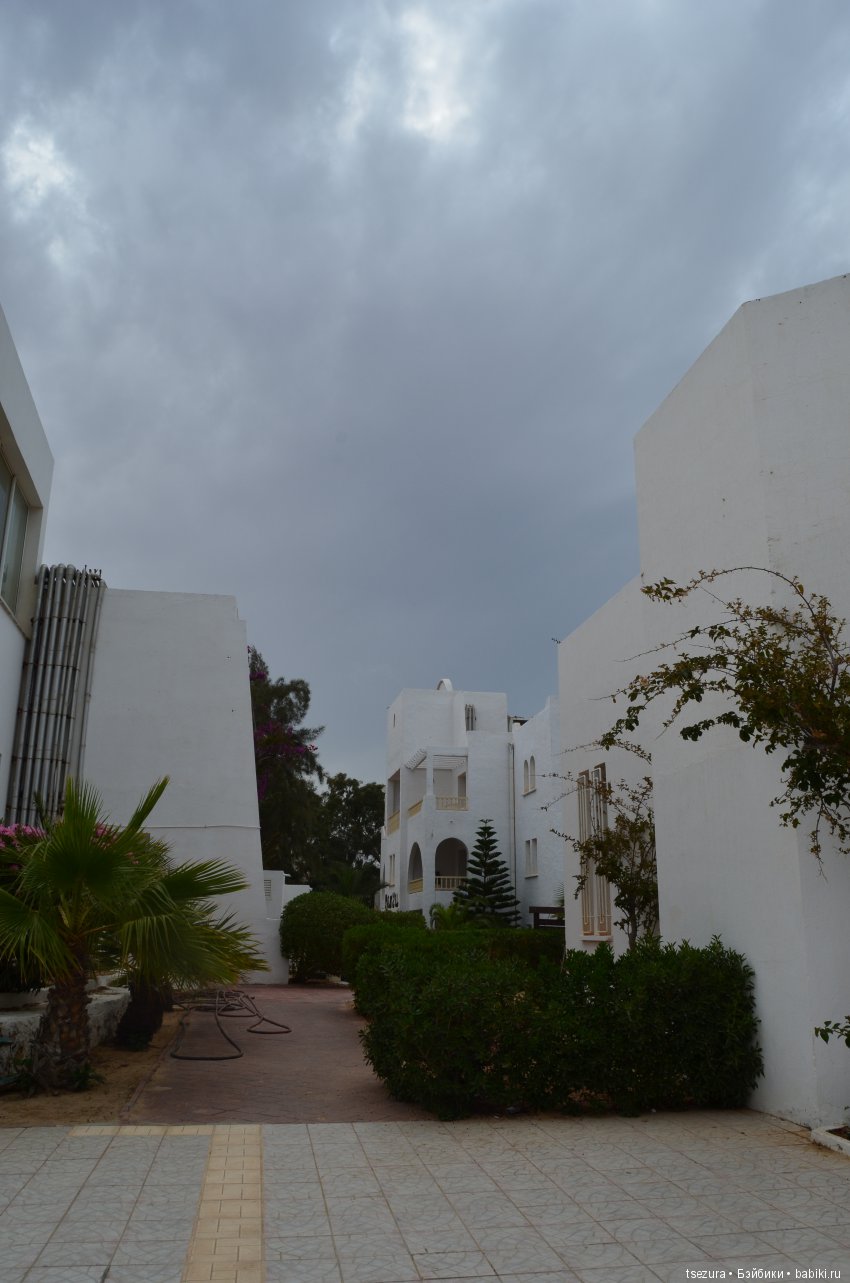 Не ходите, дети, в Африку гулять