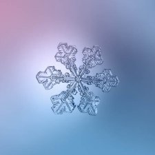 Орден Отважного Портняжки не закрывается! Зимнее заседание