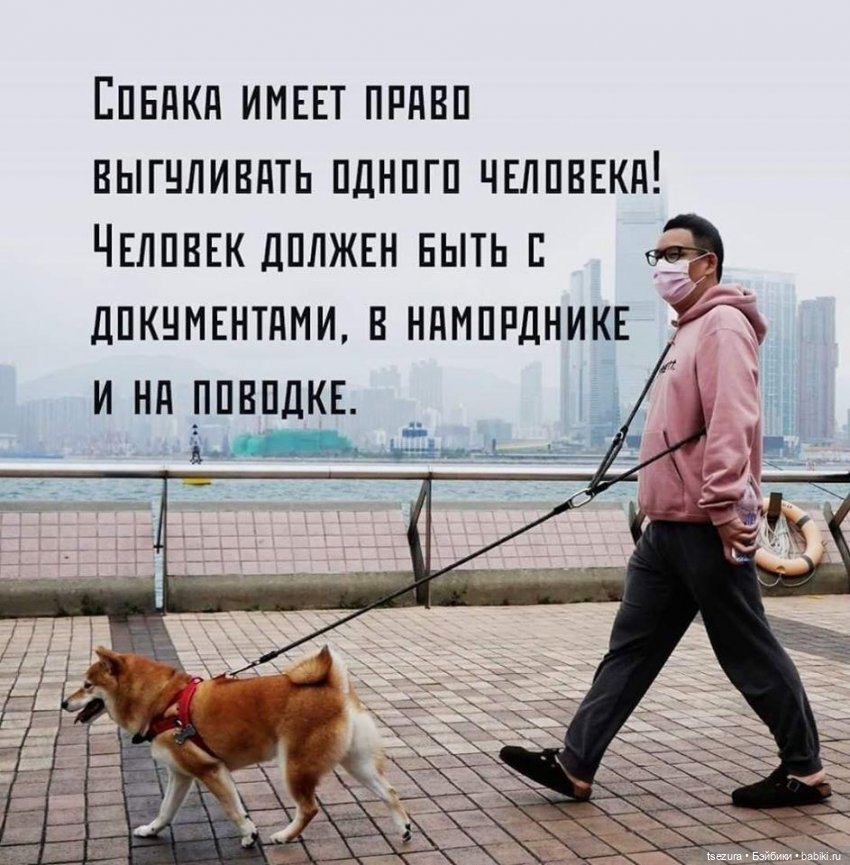 Прощай, самоизоляция — Кукольные флешмобы: Эстафеты (фото 2)