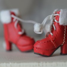 Ботинки на Блайз