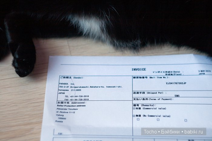 "А кто это к нам приехал?" - дубль 3. Моя милая Кинко (obitsu) (фото 4)