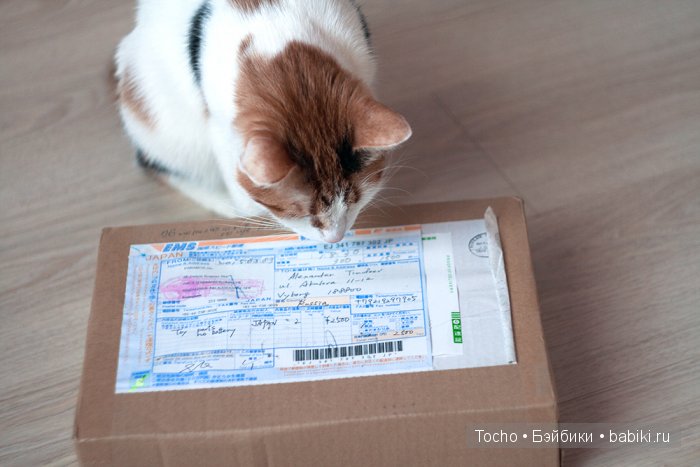 "А кто это к нам приехал?" - дубль 3. Моя милая Кинко (obitsu) (фото 2)