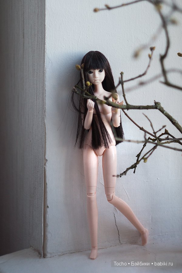 "А кто это к нам приехал?" - дубль 3. Моя милая Кинко (obitsu)