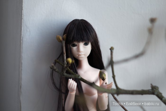 "А кто это к нам приехал?" - дубль 3. Моя милая Кинко (obitsu)