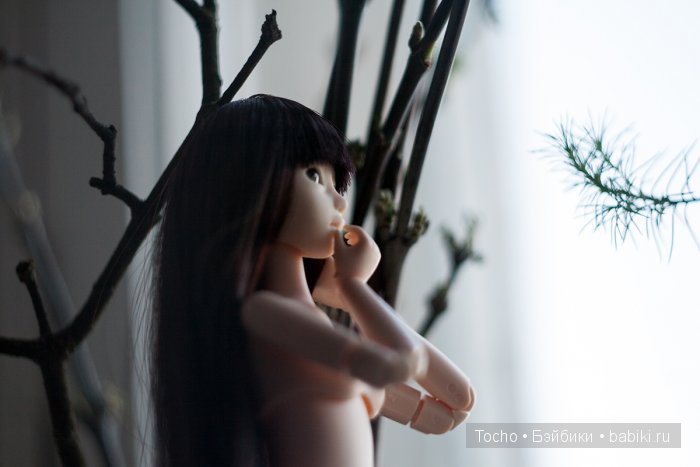 "А кто это к нам приехал?" - дубль 3. Моя милая Кинко (obitsu)