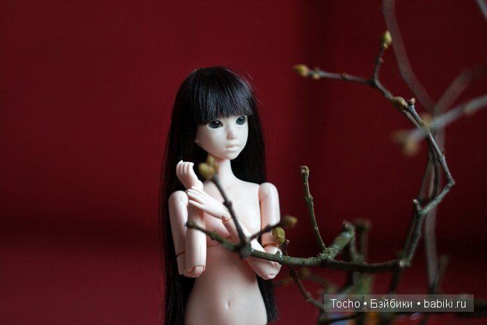 "А кто это к нам приехал?" - дубль 3. Моя милая Кинко (obitsu)