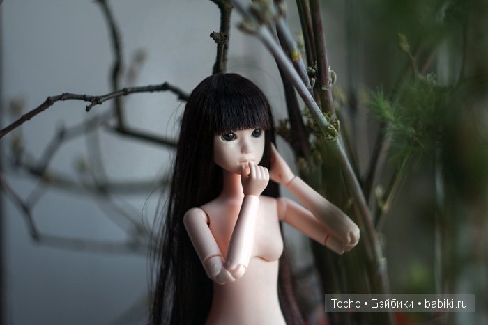 "А кто это к нам приехал?" - дубль 3. Моя милая Кинко (obitsu)