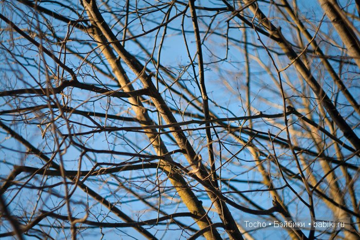 Свободу ежам — Интересные игрушки и фигурки (разное): редкие