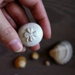 Камушки и я