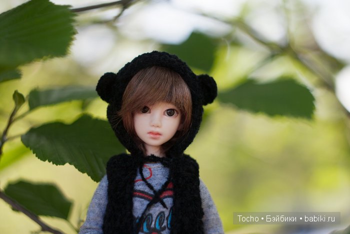 azone pure neemo xs