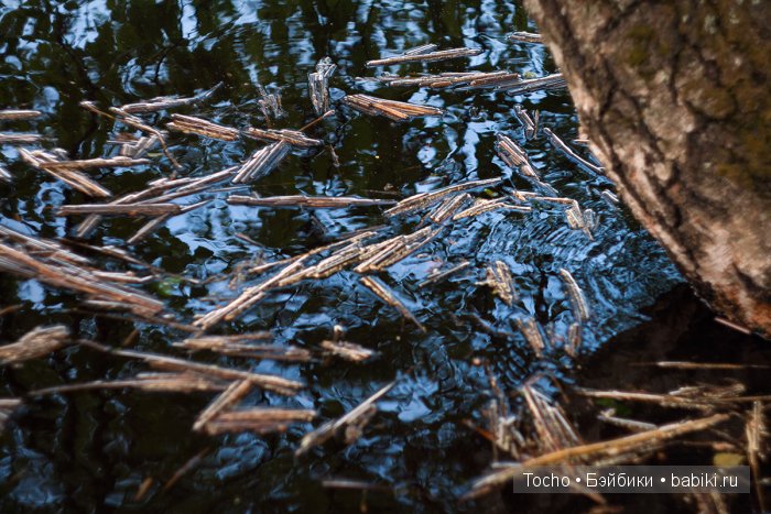 Милая Нэтт (OOAK Monster High от AnnaShrem)