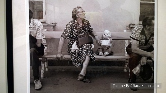 поросенок Веня