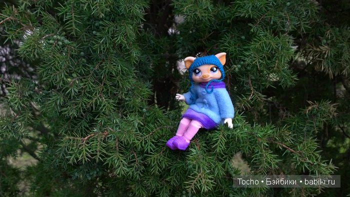 поросенок Веня