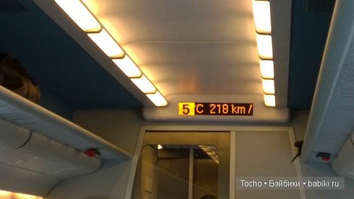 поросенок Веня