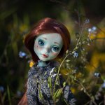 Редкие дни лета