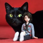 Таша (кошка обыкновенная) и Мэй (obitsu 21 см)