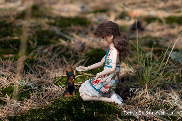 обитсу харука