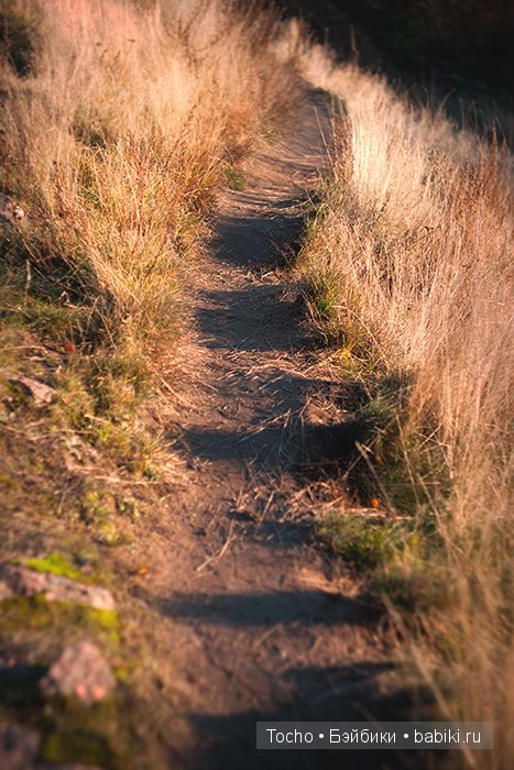 Все как по волшебству — Куклы Resinsoul (Резинсоул) и Bobobie: BJD (БЖД) (фото 5)