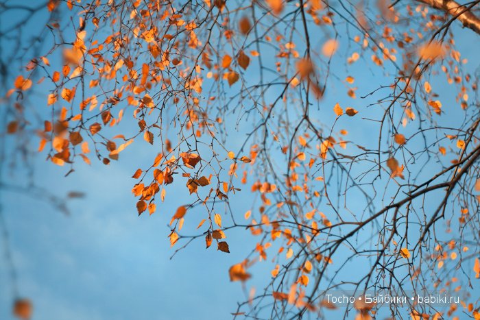 Все как по волшебству — Куклы Resinsoul (Резинсоул) и Bobobie: BJD (БЖД) (фото 4)