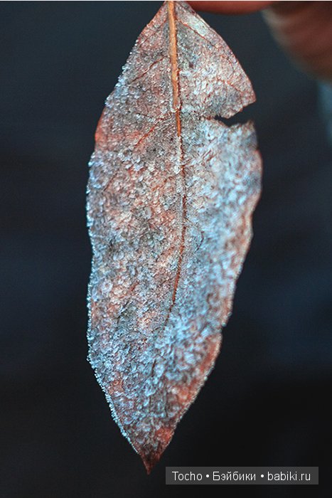 Все как по волшебству — Куклы Resinsoul (Резинсоул) и Bobobie: BJD (БЖД) (фото 2)