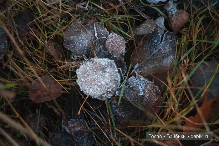 Все как по волшебству — Куклы Resinsoul (Резинсоул) и Bobobie: BJD (БЖД) (фото 3)