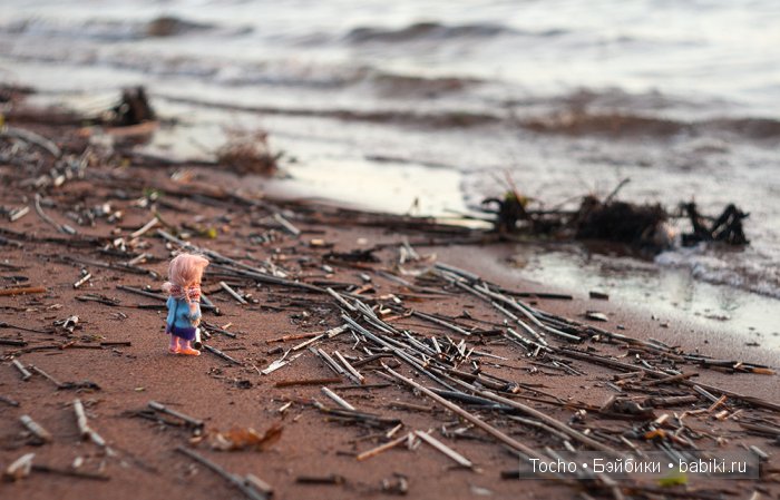 Маленькие страсти маленькой семьи (фото 6)