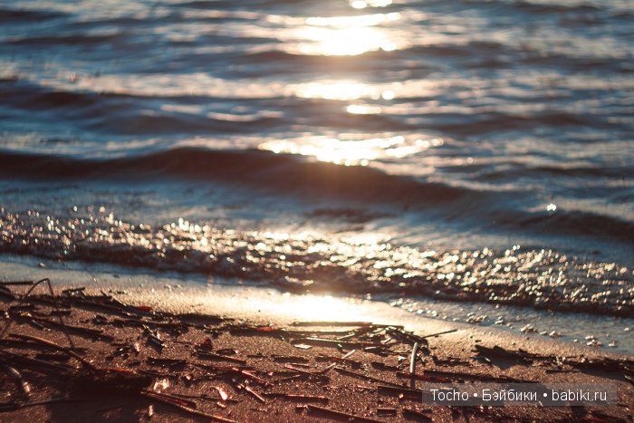 Маленькие страсти маленькой семьи (фото 5)