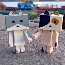 Два подвижных котика Nyanboard