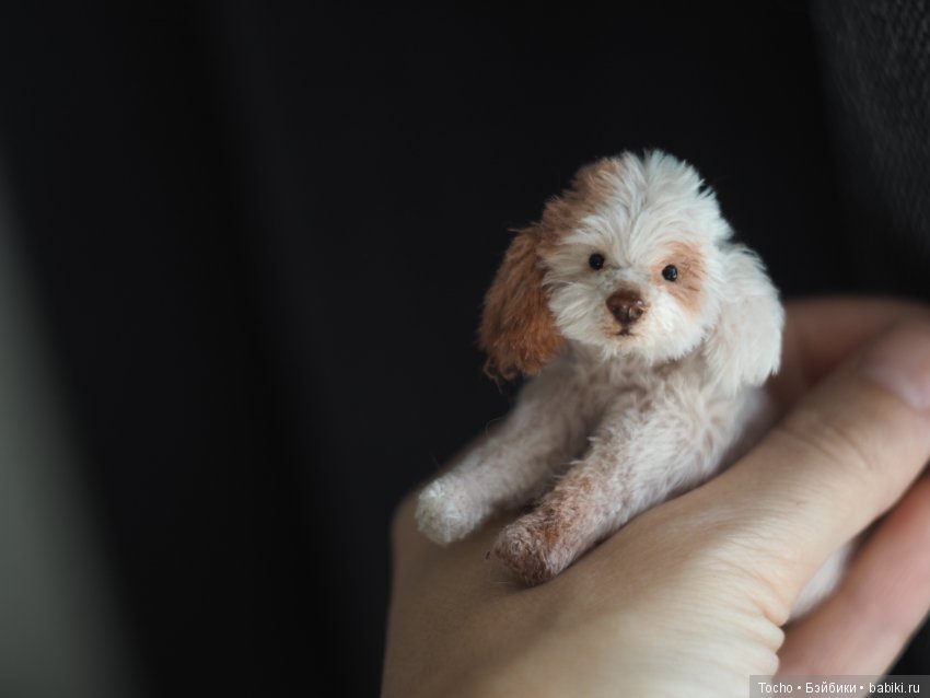 Джоня. Миниатюрный подвижный дружочек (фото 4)