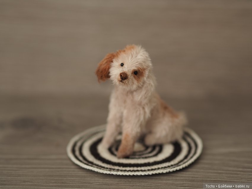 Джоня. Миниатюрный подвижный дружочек (фото 7)