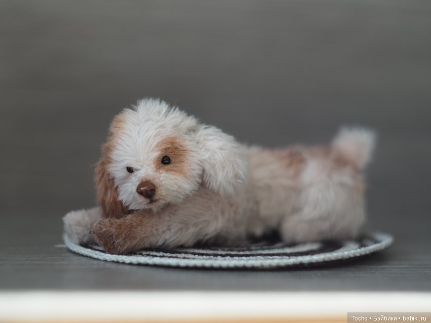 Джоня. Миниатюрный подвижный дружочек (фото 2)