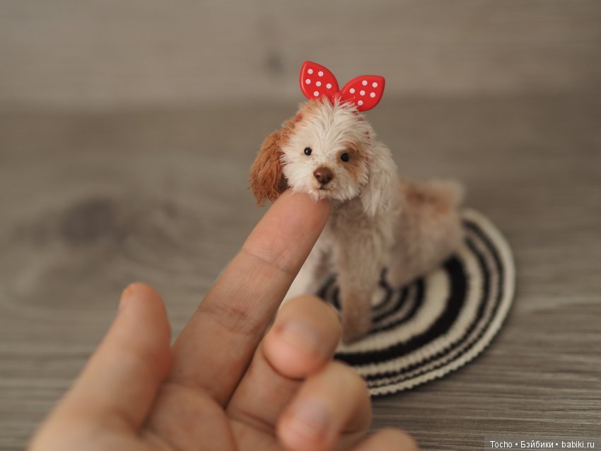 Джоня. Миниатюрный подвижный дружочек (фото 6)