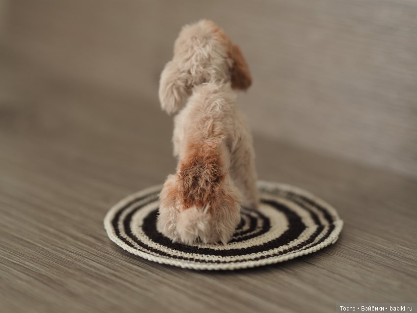 Джоня. Миниатюрный подвижный дружочек (фото 5)